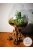 Anisa,  álló tartó, környezetbarát dekoráció